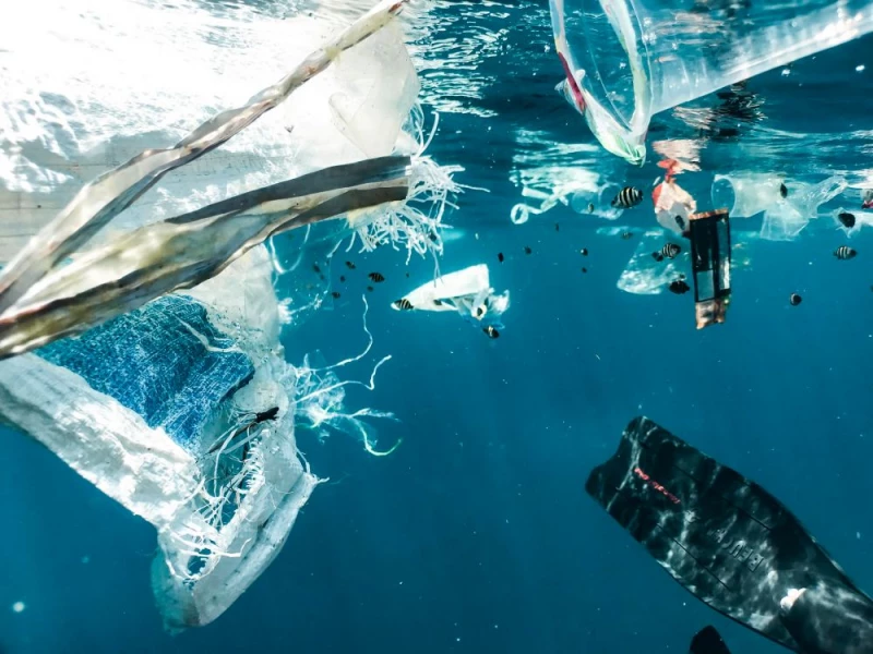 Plastik odpowiada za 60% zanieczyszczeń oceanów
